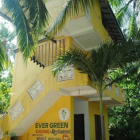 Ever Green Mirissa Dış mekan fotoğraf