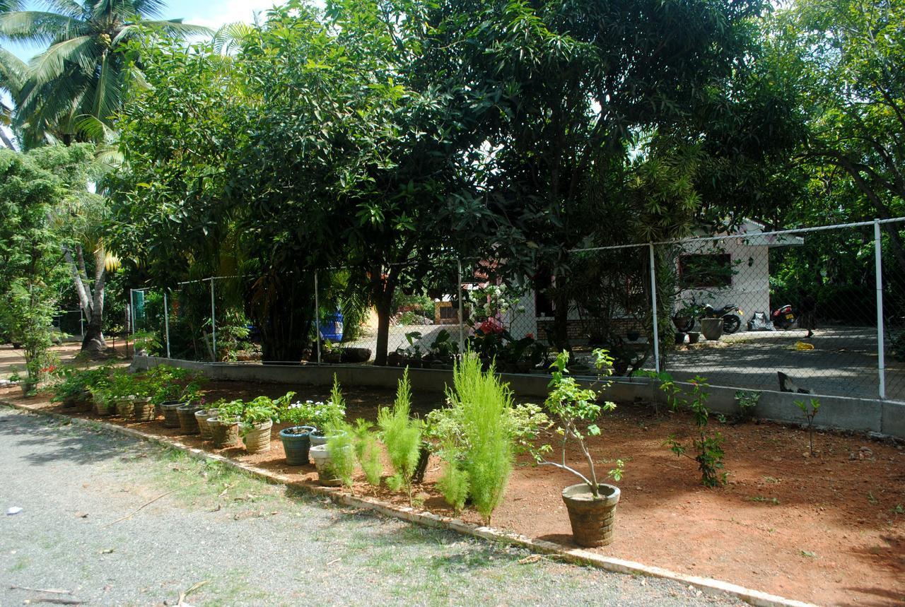 Ever Green Mirissa Dış mekan fotoğraf